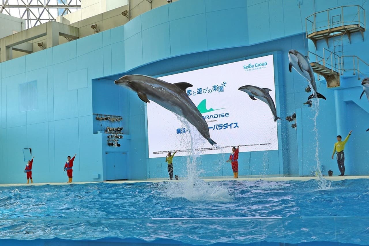 Yokohama Hakkeijima Sea Paradise Ticket - main image